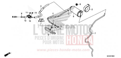 CUVETTE CRF1100D4L de 2020